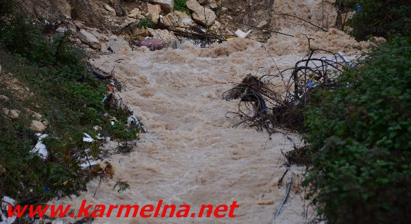 גשמי ברכה בכרמל :סרטון ותמונות